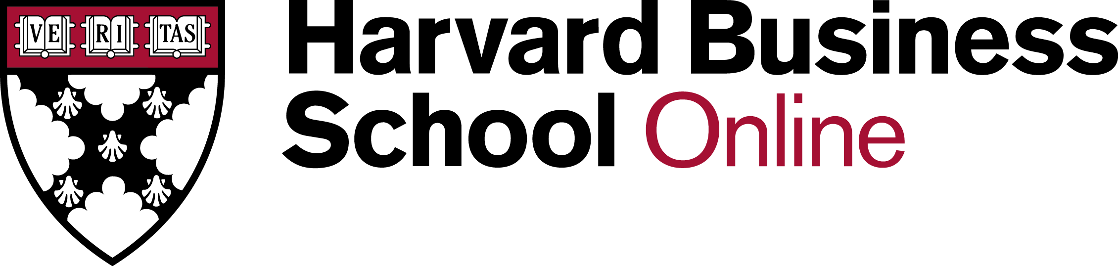 COACHING P.A. Harvard Busness School